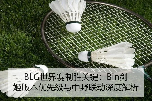 BLG世界赛制胜关键：Bin剑姬版本优先级与中野联动深度解析