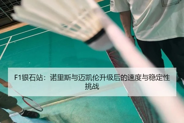 yin-shi-zhan-nuo-li-si-yu-mai-kai-lun-sheng-ji-hou-de-su-du-yu-wen-ding-xing-tiao-zhan-2-472.jpg